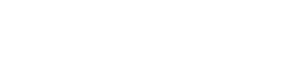 Logo PFP Private Finance Partners